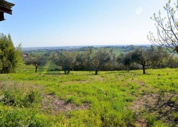 Terreno - Rustico via Nuova, Bertinoro - foto 7