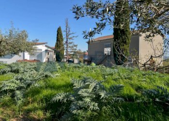 Terreno - Rustico via Nuova, Bertinoro - foto 9