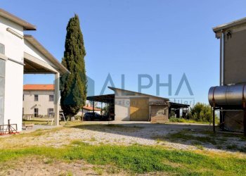 Terreno - Rustico via Nuova, Bertinoro - foto 10