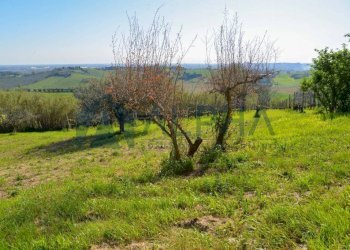 Terreno - Rustico via Nuova, Bertinoro - foto 11