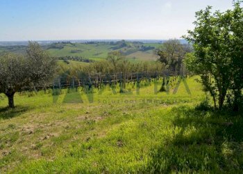 Terreno - Rustico via Nuova, Bertinoro - foto 12