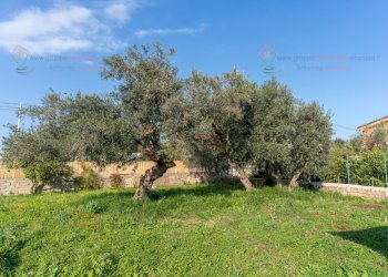 RIC00176.jpg - Terreno edificabile Siracusa - foto 14