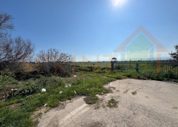 IMG_4504.JPG.jpg - Terreno agricolo Contrada Losciale, Monopoli - foto 4