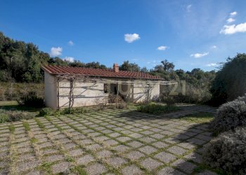 apparita-23.jpg - Villa Località Valle Maggiore 1, Magliano in Toscana - foto 24