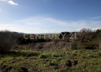 apparita-24.jpg - Villa Località Valle Maggiore 1, Magliano in Toscana - foto 25