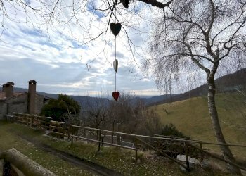 Independent house Vittorio Veneto - photo 5