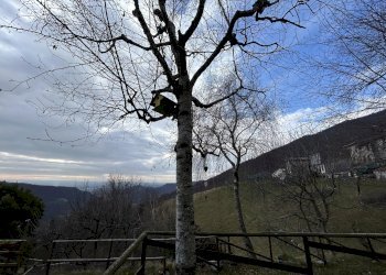 Independent house Vittorio Veneto - photo 26