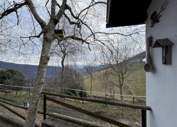 Independent house Vittorio Veneto - photo 27