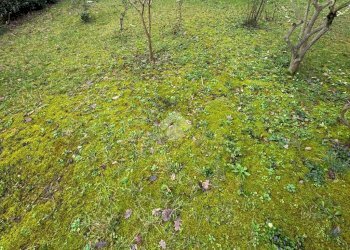 Porzione di casa Via Zambonini, Montelabbate - foto 17