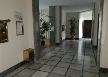 Trilocale Torino (zona Crocetta) - foto 5