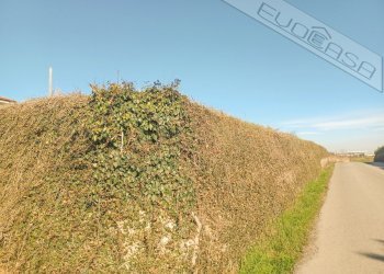 Building land via carlo alberto snc, Barge - photo 17