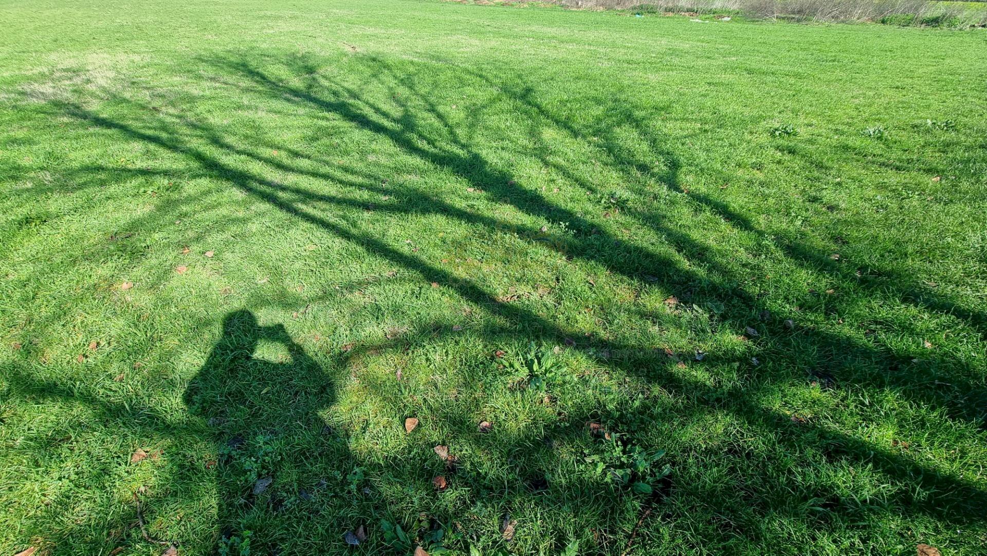 Foto 3 - Agricultural land Marcianise - photo 3