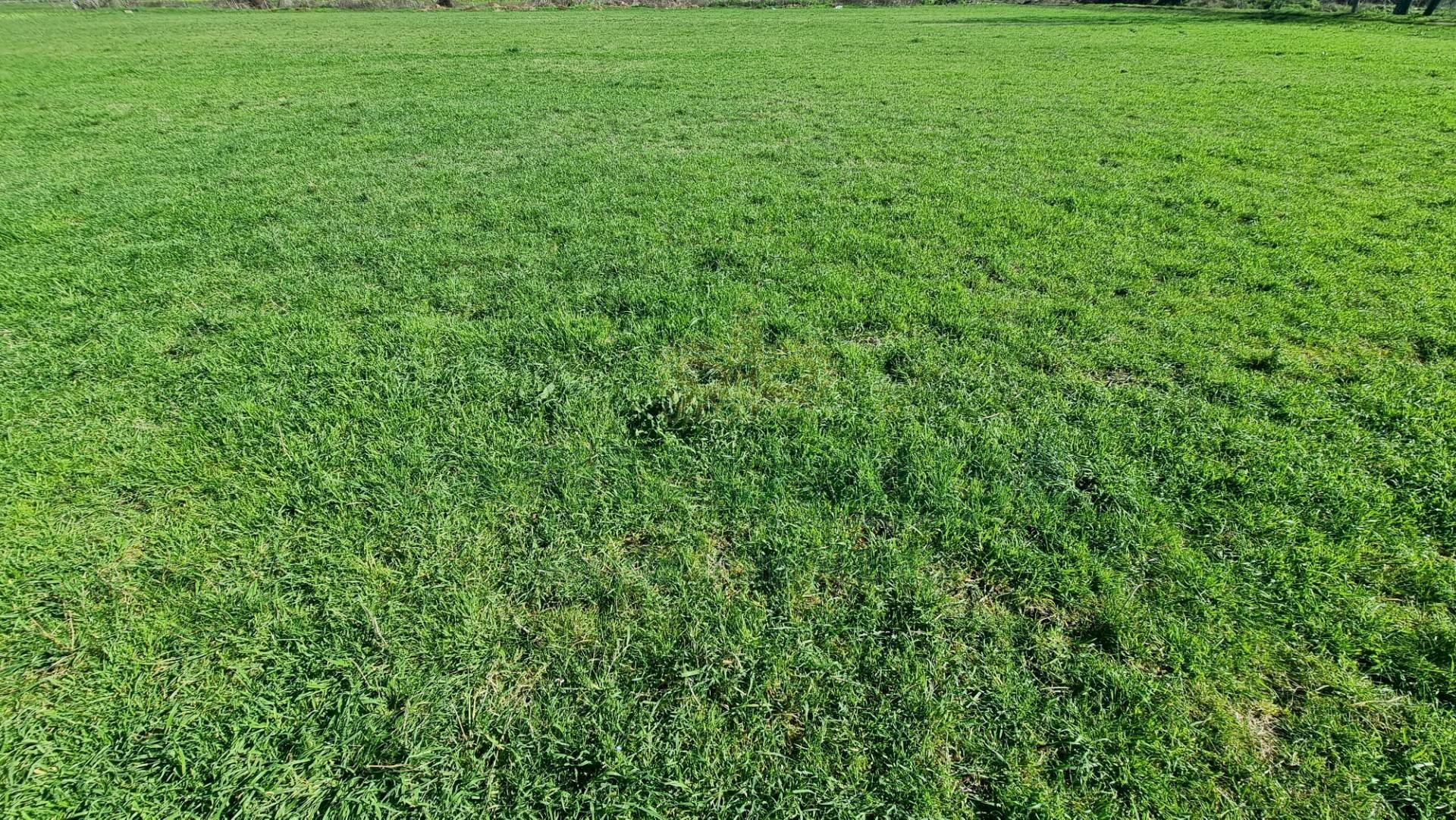 Foto 1 - Agricultural land Marcianise - photo 1