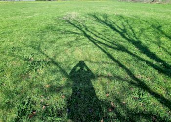 Foto 15 - Terreno agricolo Marcianise - foto 15