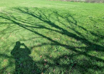 Foto 3 - Terreno agricolo Marcianise - foto 3