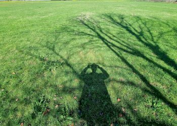 Foto 4 - Terreno agricolo Marcianise - foto 4