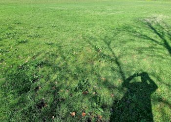 Foto 5 - Terreno agricolo Marcianise - foto 5