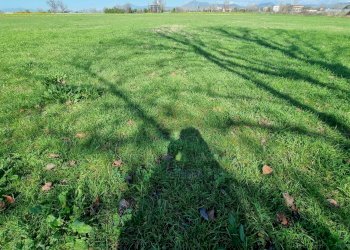 Foto 6 - Terreno agricolo Marcianise - foto 6