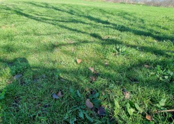 Foto 7 - Terreno agricolo Marcianise - foto 7