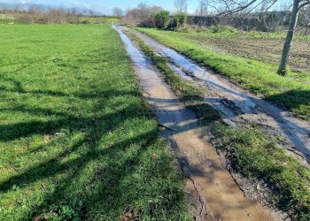 Foto 8 - Terreno agricolo Marcianise - foto 8