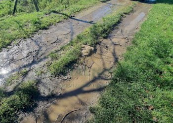 Foto 9 - Terreno agricolo Marcianise - foto 9