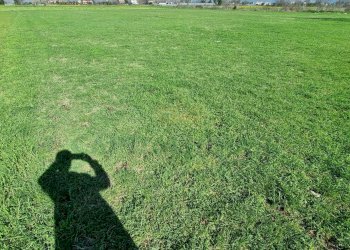 Foto 10 - Terreno agricolo Marcianise - foto 10