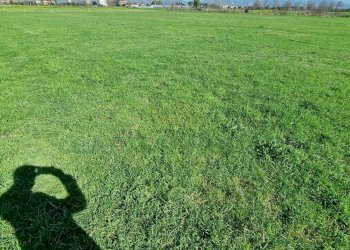 Foto 12 - Terreno agricolo Marcianise - foto 12