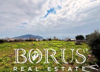 Foto 36 - Attività Commerciale Gaeta - foto 36