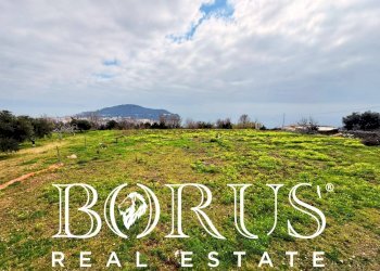 Foto 42 - Attività Commerciale Gaeta - foto 42