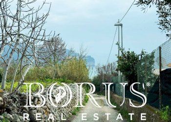 Foto 148 - Attività Commerciale Gaeta - foto 148