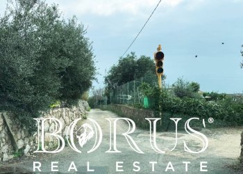 Foto 158 - Attività Commerciale Gaeta - foto 158