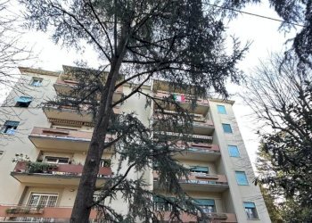 Facciata - Appartamento via Paolo Costa, 16, Bologna (zona Murri) - foto 1