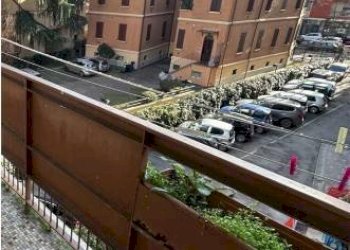 Zona - Appartamento via Paolo Costa, 16, Bologna (zona Murri) - foto 5