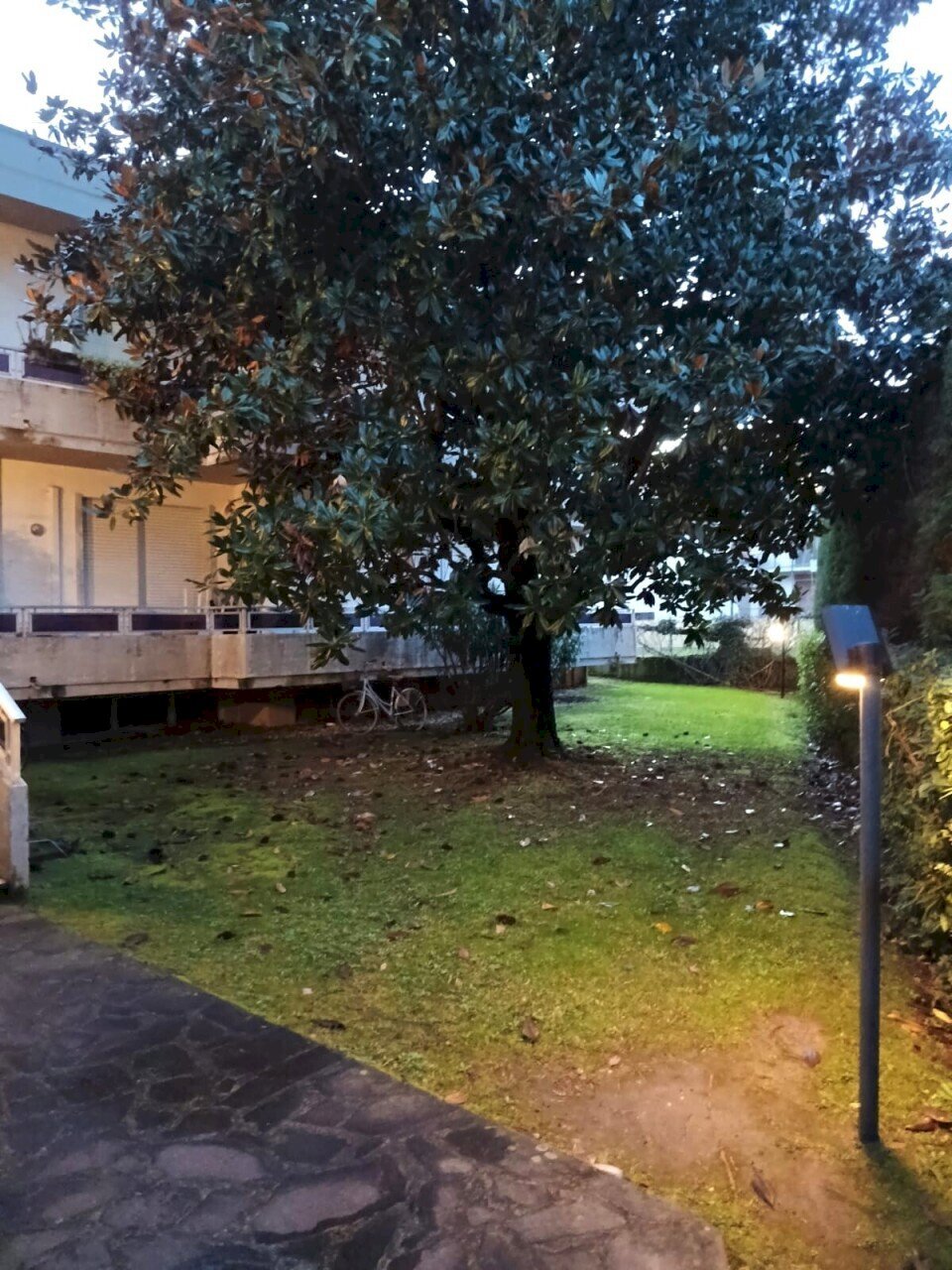 01.jpg - Apartment Via Marcello Garosi, Massa - photo 1