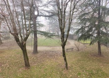 Four-room apartment Fossano - photo 4