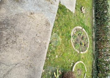 Porzione di casa Via Brasco, Montelabbate - foto 11