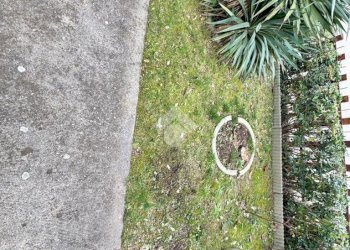 Porzione di casa Via Brasco, Montelabbate - foto 12