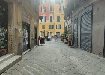 Shop Vico Delle Erbe, Genova - photo 3