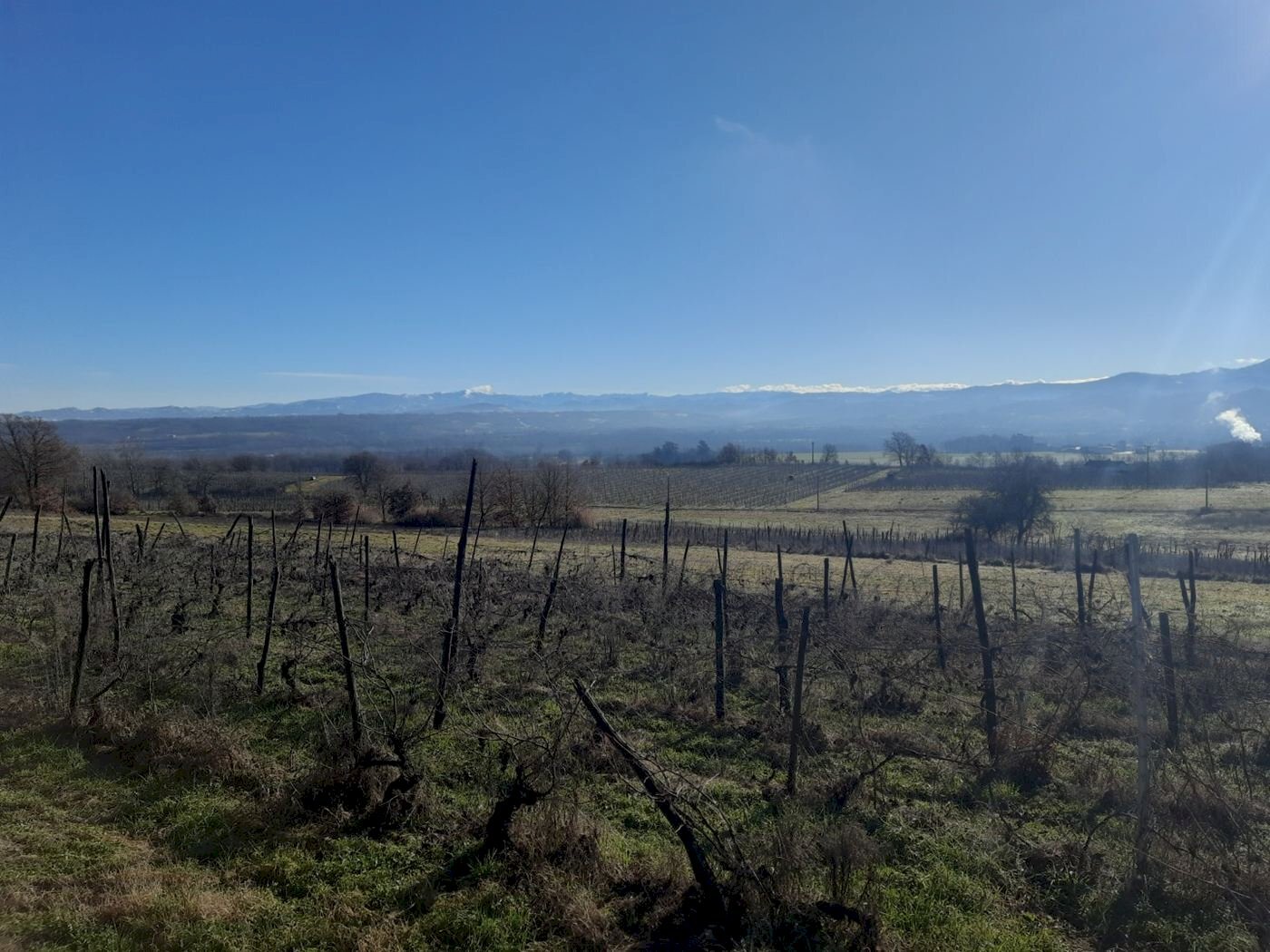 Farmhouse Rocca Grimalda, Rocca Grimalda - photo 1