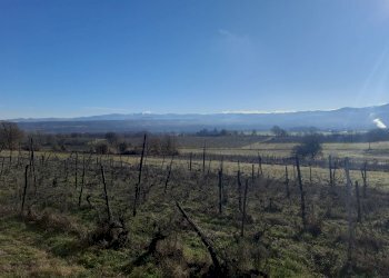 Farmhouse Rocca Grimalda, Rocca Grimalda - photo 1