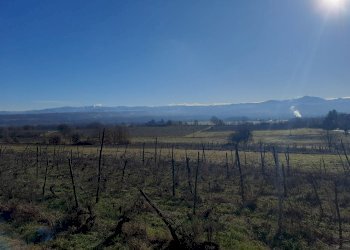 Farmhouse Rocca Grimalda, Rocca Grimalda - photo 6