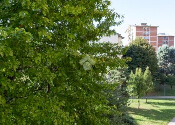 Trilocale Via demonte, Milano (zona Niguarda) - foto 5