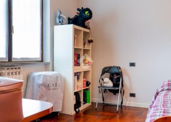 Porzione di casa Via Torino, Settala - foto 18