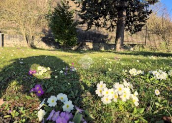 Villa Via Colombera, Ponzone - foto 7