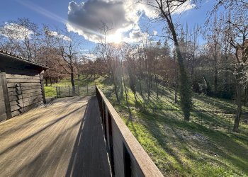 Casa indipendente Bologna (zona Murri) - foto 24