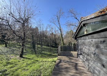Casa indipendente Bologna (zona Murri) - foto 28