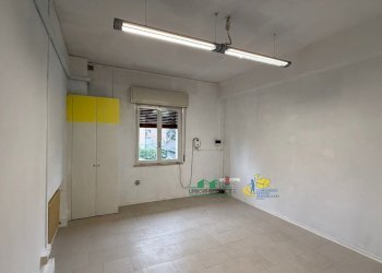 1.jpg - Non Alimentare Via Emilia 16, Noceto - foto 7