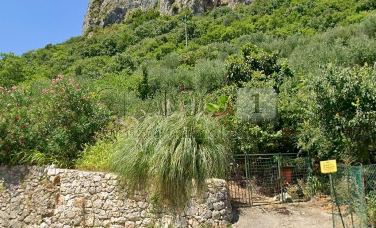 Vista1 - Terreno agricolo Piazza Mazzaretto, Longare - foto 1
