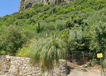 Vista1 - Terreno agricolo Piazza Mazzaretto, Longare - foto 1