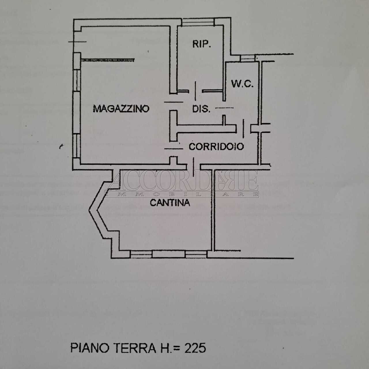 WhatsApp Image 2026-01-21 at 15.43.55.jpeg - Magazzino Padova - foto 2